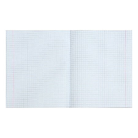 A notebook of 96 sheets in the Calligrata cage, boumvinyl, offset block, blue-1