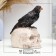 Figure "Raven on the skull" 16x10cm, black