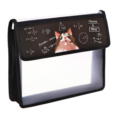A5 notebook folder (230 x 190 x 50 mm), with Velcro valve, plastic/textiles, calligrata, "smart cat"-3