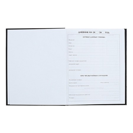 Universal diary for grades 1-11 Anime. Music, hard cover, holography, 40 sheets-3