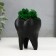 Concrete Kashpo "tooth" with moss black 7.5x6.5x9.5 cm (moss green stabilized)