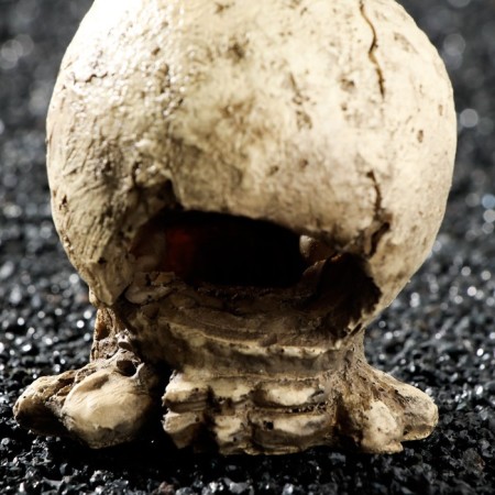 Decor for the Aquarium "Skull", 10 x 8 x 9 cm-2