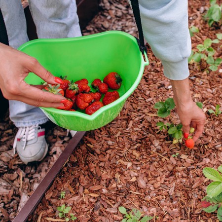 Berry collection capacity, 3 l, green-11