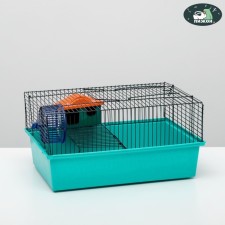 The cage for rodents 