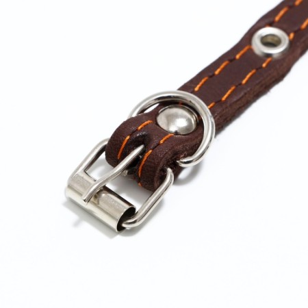 Collar leather single-layer, dimensionless 30 x 1 cm, Osh 19-27 cm, brown-3