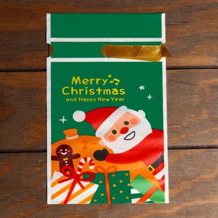 Polyethylene gift package "Merry Christmas!", With ties, 15*23cm-2