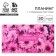 Planing with tear -off sheets "Flowers", soft cover, 30 sheets