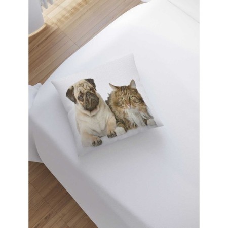 Pillowess decorative “Friendship is different”, on a zipper, size 45x45 cm-1