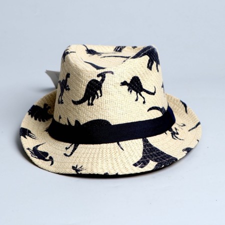 Panama Children's straw for the boy "Dinosaurus", river 52-54-3