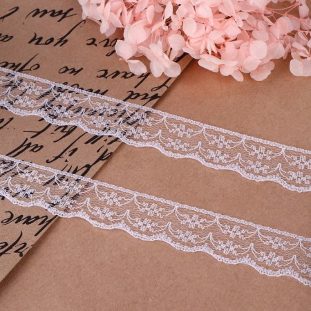 Capricon lace, 23 mm × 10 ± 1 m, white color No. 10-1