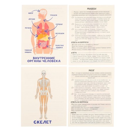 Training cards "Human Body"-6