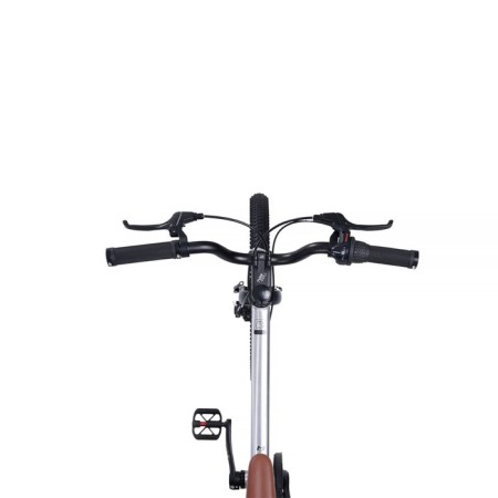 Bicycle 20 ’’ maxiscoo 7bike M700, silver color-5