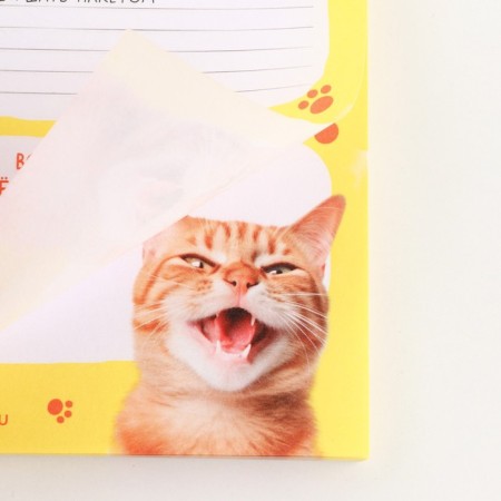 Planing with tear -off sheets, 50 l "cat"-2