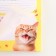 Planing with tear -off sheets, 50 l "cat"
