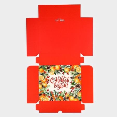 Packaging for confectionery "New Year's Botany", 20 x 17 x 6 cm, New Year-6