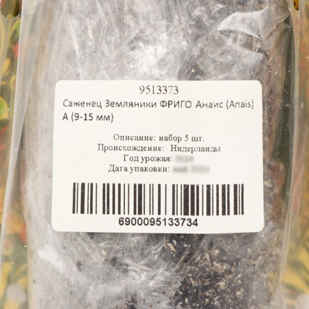 Strawberry Frigoro Anais (ANAIS) A (9-15 mm), 5 pcs-3