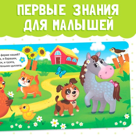 Cardboard book "Animals from all over the world", 10 p.-2