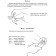 Finger massage for the baby from birth to a year. Borisenko M. G.