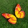 Decor for magnet "Butterfly", 13.5cm, mix