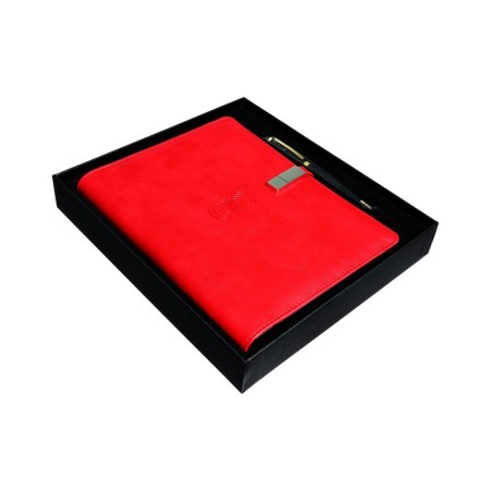 Organizer on the rings, PVC, A5.140 liters, cage, with a pen, gifts. Box, flash drive, exercise, mix-2