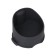 Water bottle, 450 ml, with a strainer, 17.5 x 10.5 cm, black