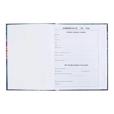 Universal diary for grades 1-11, "kittens in pockets", solid cover 7BC, glossy lamination, 40 sheets-6