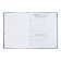 Universal diary for grades 1-11, "kittens in pockets", solid cover 7BC, glossy lamination, 40 sheets