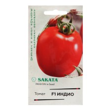 Seeds Tomat 