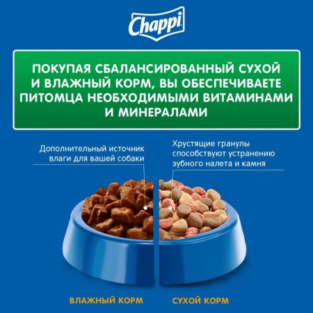 CHAPPI dry food for dogs, with beef at home, 15 kg-6