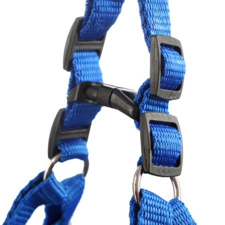 COMPORTS COMPORTS COMBODY, 2 cm, Osh 40-58 cm, og 46-60 cm, blue-2