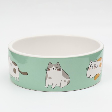 Ceramic "Kotsy" bowl 300 ml 12.5 x 4.5 cm, white-green-2