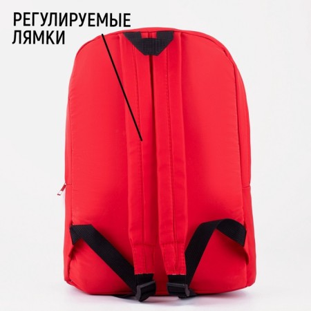School backpack with a reflective pocket NOT My Problems-5
