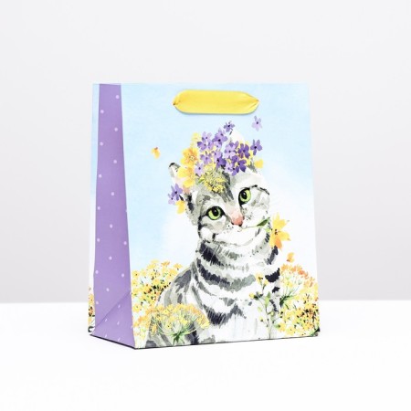 Gift package "kitten", 18 x 22.3 x 10 cm