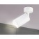 Ambrella Light GU10/LED Max 12 W, 55x555x164 mm, white color switch