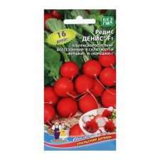 Seeds Radis 