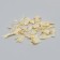 Sawdust for rodents, 20 l