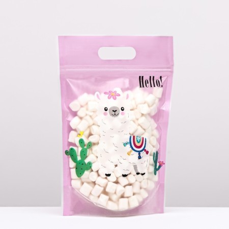 Gift package, with zip-lock fastener, 15 x 22.5 cm, mix-6
