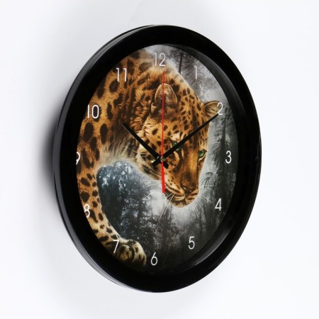 Wall watches, D-28 cm, interior "jaguar", silent-1
