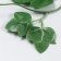 Decor for creativity "Green leaves" 16.5 cm