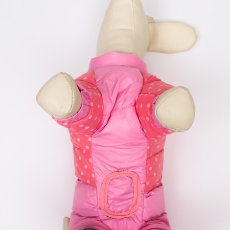 Dogs "Polit", size 20 (DS 43, OG 56, Osh 41 cm), pink-5