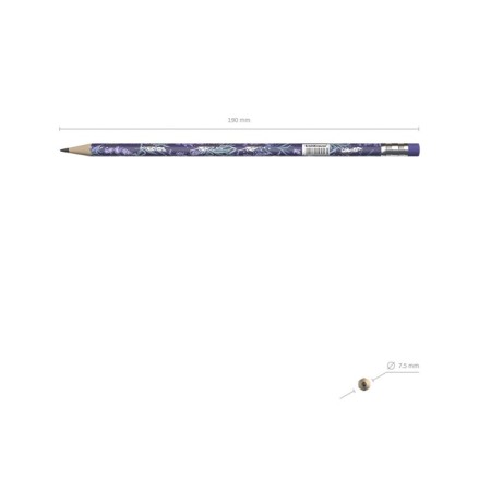 Chernographic pencil with Erichkrause "Lavender", HB, Grifel D = 2.2 mm, wood, three -sided in a tube, mix-2