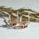 Earrings with rhinestones "Edel" oval in openwork, red color in gold