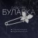 Pin "Butterfly", 5 cm, white color in silver