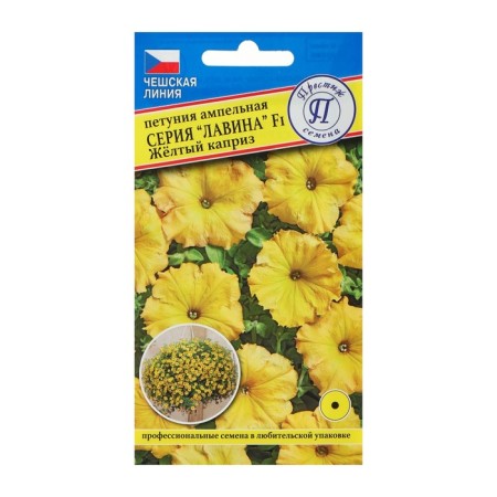 Flowers of Petunia "avalanche", yellow whim F1, 10 DR-2