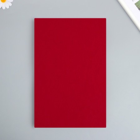 Hard felt 1 mm 20x30 cm T. red