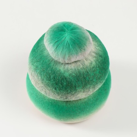 Growing gift grass "Christmas tree New Year, dress yourself" Gift packaging-4