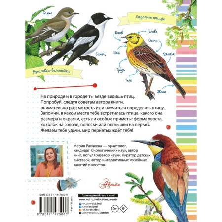 Birds. Rakhcheeva M.V.-1