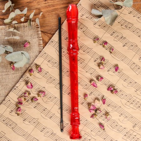 Music Life Blockflate, 8 holes, German system, red-1