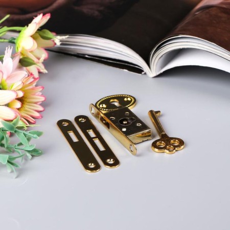 Castle for a casket "with a key" 5 items in a set of 1x5.5 cm S-303-1