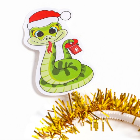 Carnival rim "Snake in the cap"-2